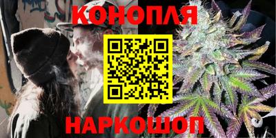 прущие крисы Будённовск