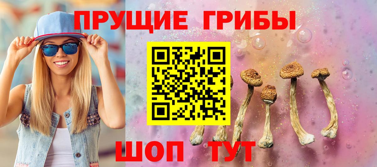 Галлюциногенные грибы Magic Shrooms Люберцы