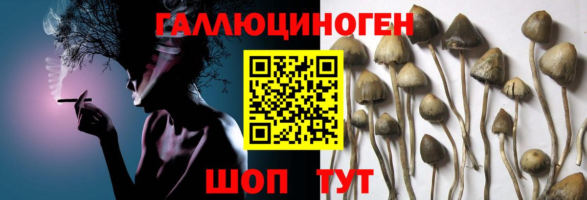 Люберцы  Галлюциногенные грибы MAGIC MUSHROOMS  где продают наркотики  Вход с VPN 