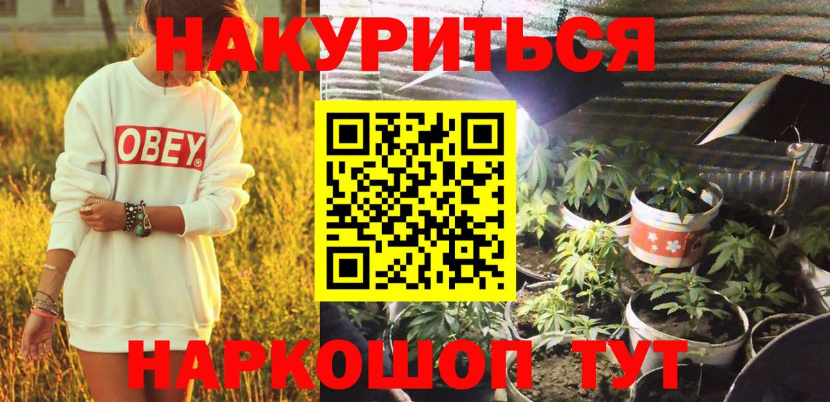 Каннабис план Люберцы